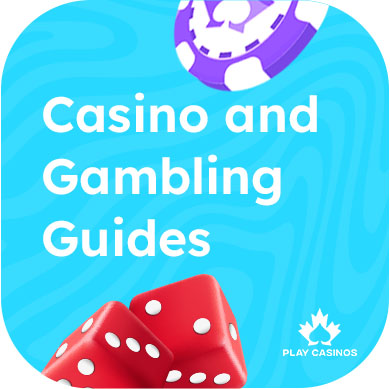 Casino Guides Image