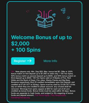 Spinyoo Bonus