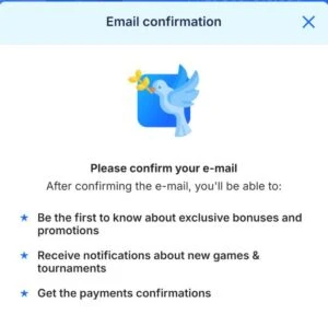 Confirm Email