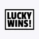 Logo image for LuckyWins Casino