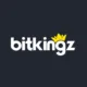 Logo image for Bitkingz